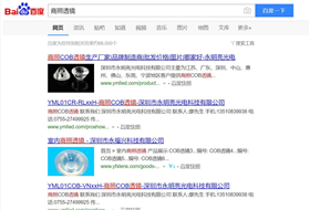 官网seo优化排名